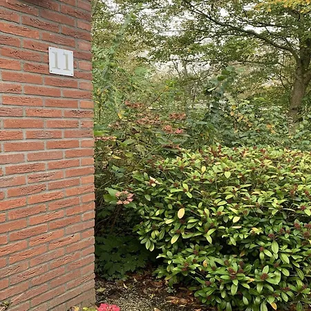 Comfortable Family Near 別荘